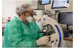 Imagen historia 2020s